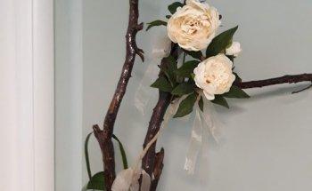 Dott.ssa Dietista Fabiana Mucci