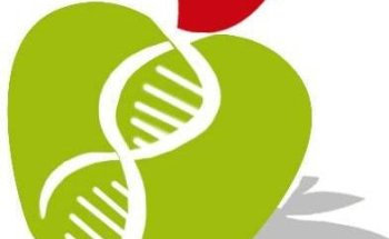 Mangia Sano e Vivi in Salute - Dottoresse Baldini Francesca & Erika Sicilia