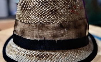 D'Elia d.ssa Marida - Biologa Nutrizionista