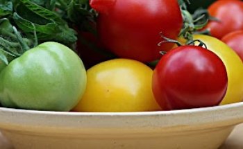 Studio Medico Specialistico Dr. Francesco Puerari