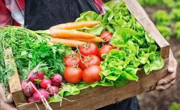 Nutrizionista Gallarate via Cantoni 10 Dott.ssa Viceconti Anna