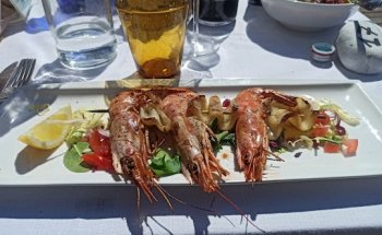 Dr.ssa Adriana di Giorgio - Dietista a Lucca, Nutrizionista a Lucca