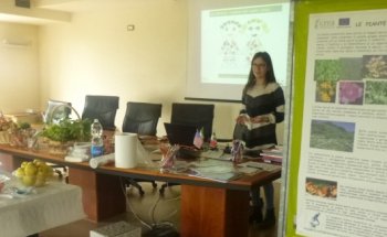 Dott.ssa Susanna Guidi, Dietista