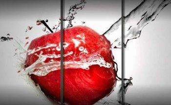 Dott.ssa Angela Perseo