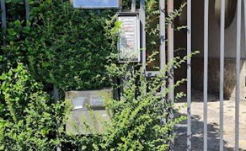 Dr Mauro Presti, Ginecologo