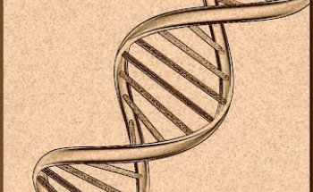 Dott. David Rinaldi specialista in scienze dell' alimentazione