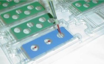 Nutrizionista Pisa - Dott. Mattia Di Marco