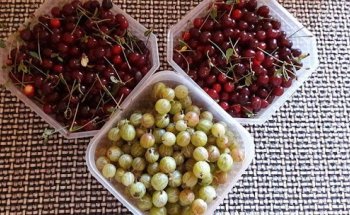 Biologa Nutrizionista Dott.ssa Rocchina Le Caldare