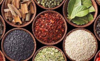 Laface Dr. Antonia Emanuela