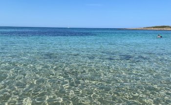 Dott.ssa Raffaella Antonini, Dietologo