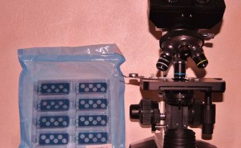 Nutrizionista Dott.ssa Katia Camelin