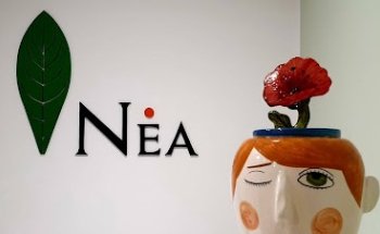 Studio NEA