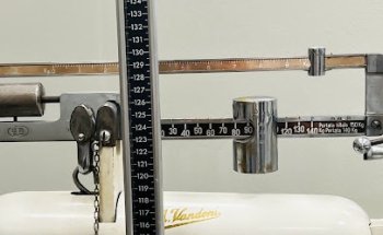 Biologa Nutrizionista - Dott.ssa Silvia Bonsignori