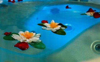 Nutrizionista dott.ssa Clementina Vitale