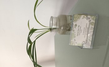 Dott.ssa Elena Villa, Nutrizionista