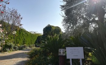 Dott.ssa Giuliana D'Incognito, nutrizionista