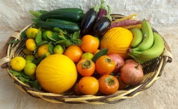 Dott.ssa Claudia Buongiorno