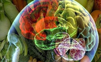 Dott.ssa Dietista Nutrizionista Francesca Barberi