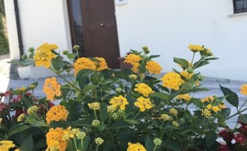 Dott.ssa Rebecca Vecchio Nutrizionista