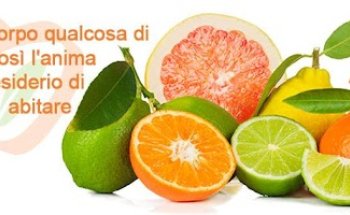 Dott.ssa Anna Pirovano - Dietista nutrizionista