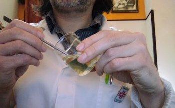 Dott. Giancarlo Monteforte - Biologo, Nutrizione e Cosmetica