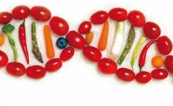 Nutrizionista Saronno - Amodio Dr. Pasqualina