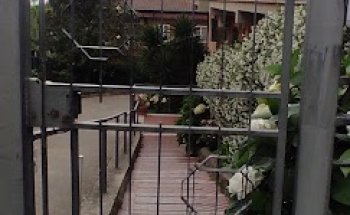 Dott.ssa Paola pantaleoni