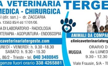 Ambulatorio Veterinario Tergeste