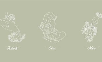 Centro olistico Halo - Corpo e Anima