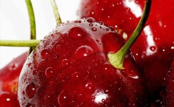 Studio di Dietetica e Nutrizione Dr. Pesce