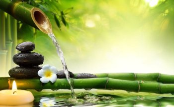 Dott. Cognigni Medico Dietologo Psicoterapeuta