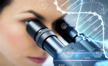 Centro Studi Nutrizionali Dr.ssa Sonia Conte