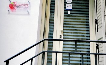 Dott. Massimo Fabio Giuffrida Studio di Nutrizione e Dietetica Applicata