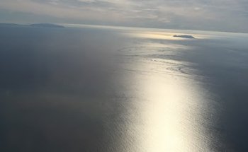 Dott.ssa Silvia Rossi