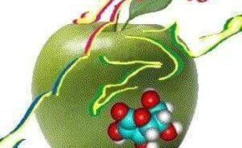 Studio Bionutrizione Dr Vitale