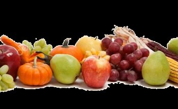 MiJo Dieta Consulenza Alimentare