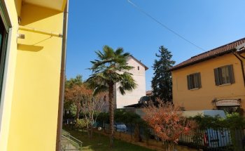 Dott.ssa Elisabetta Reggiani, Nutrizionista