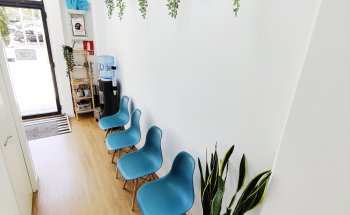 Marina Gonz Nutricionista - Wellness Europ