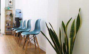 Marina Gonz Nutricionista - Wellness Europ