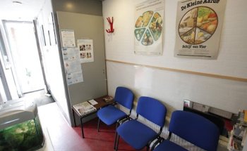 Dietistenpraktijk, Gea Fegel