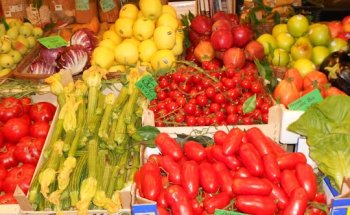 Centrum voor Voeding & Dieet | Diëtist Eindhoven | DE diëtistenpraktijk Quirina Engels & Dominique Maan