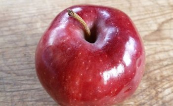 Moniek Westerman, dietist. Praktijk voor Voedings- en Dieetadvies. Groningen.