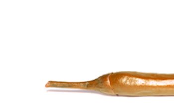 Dietist Haarlem Lara Kwant