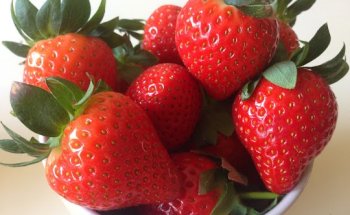 DieetPlaneet Utrecht Zuilen/ Ondiep