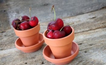 Voedingsadviescentrum Zwolle