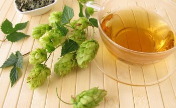 Birgit Schramm Dipl.-Ökotrophologin und Dipl.-Darmexpertin