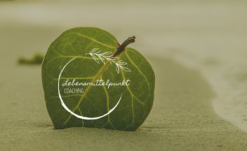 Dein Lebensmittelpunkt - Ernährungsberatung und Coaching