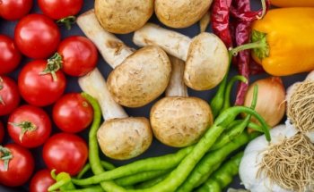 Ernährungsberatung Bartsch