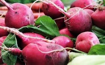 Esswerk e.U. Ernährungsberatung