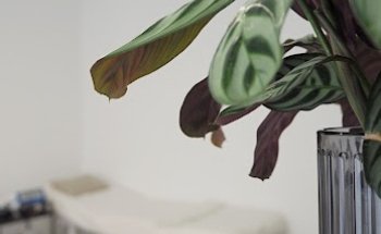 resize Ernährungskonzepte 1040 Wien: Ernährungsberatung & Abnehmen